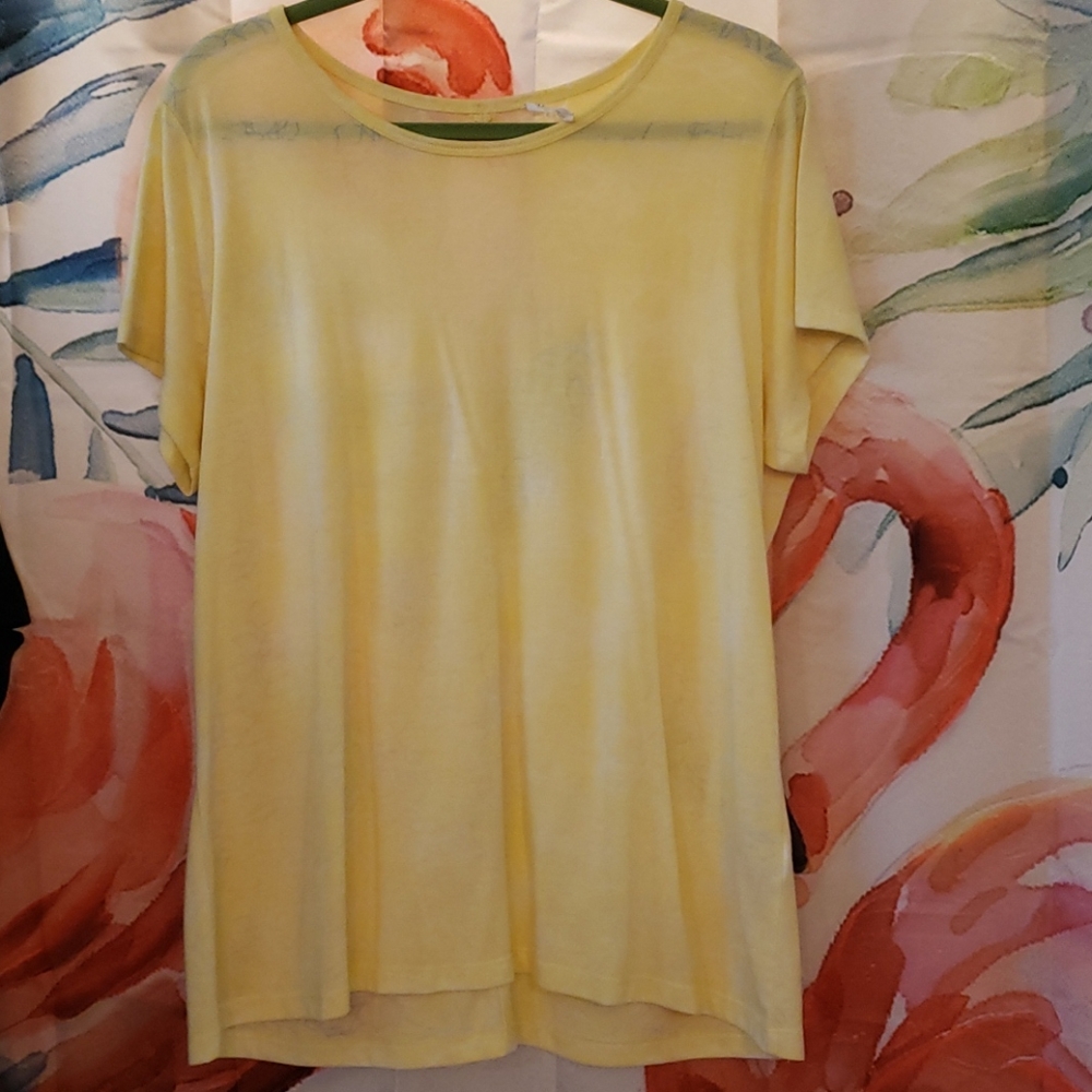 Yellow Roses T Shirt 2X